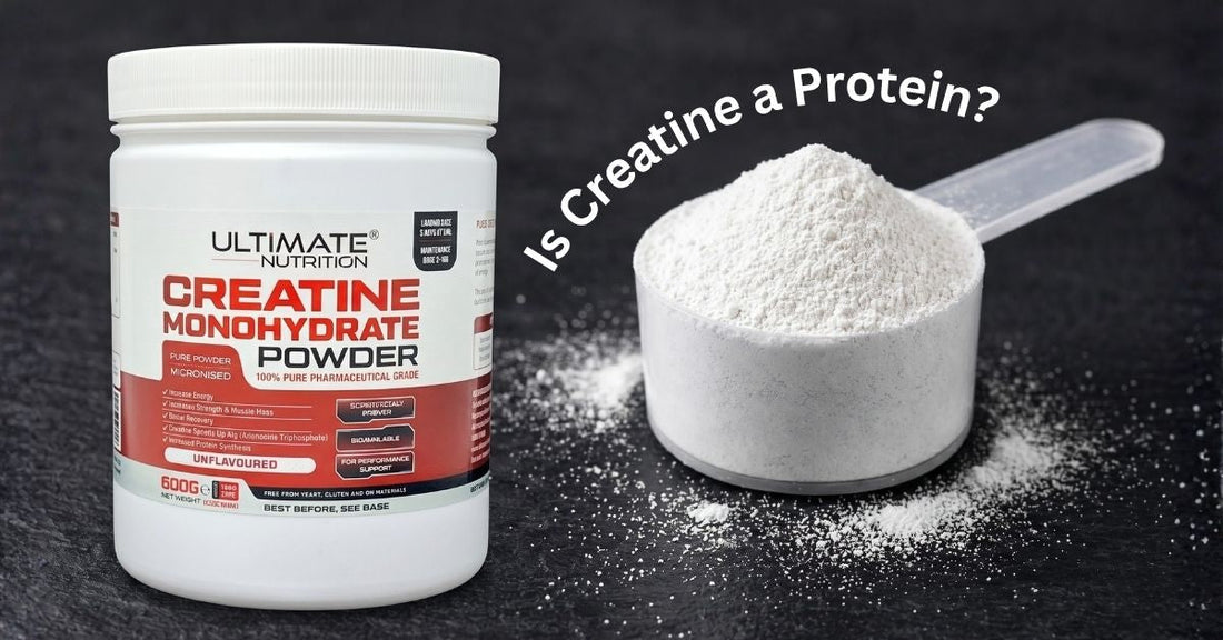 ultimate nutrition creatine monohydrate powder container with a scoop of creatine on a dark surface shown beside the text is creatine a protein to illustrate the difference between creatine and protein for the article is creatine a protein the most google