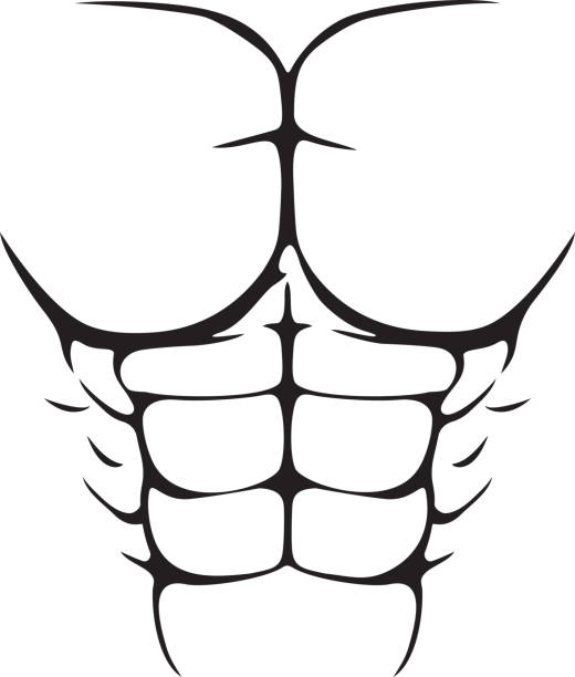 How to Create the Perfect 6-pack, have a Flat Stomach & Firm Waistline