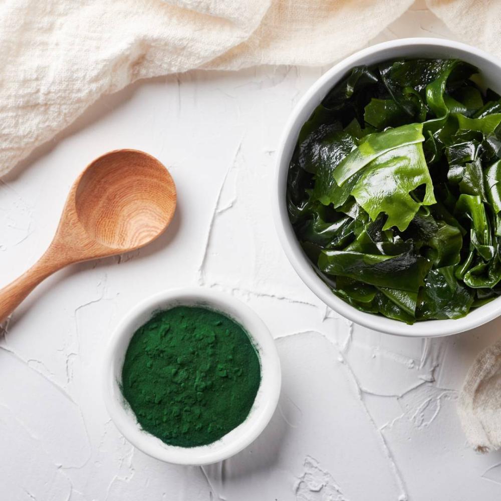 Wooden spoon, bowl of seaweed, and bowl of green powder arranged on a white surface, representing natural ingredients used in Alfalfa and Kelp supplements.