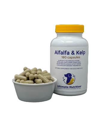 Ultimate Nutrition Alfalfa and Kelp pet supplement bottle with a bowl of capsules in front, formulated to support immune health and skin condition for dogs and cats.